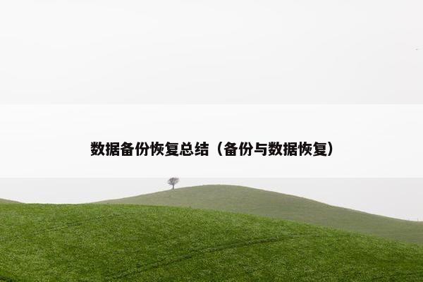 数据备份恢复总结（备份与数据恢复）