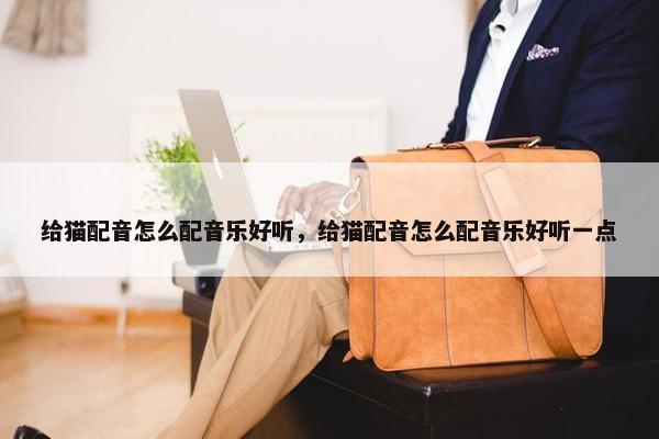 给猫配音怎么配音乐好听，给猫配音怎么配音乐好听一点