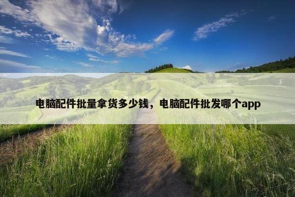 电脑配件批量拿货多少钱，电脑配件批发哪个app