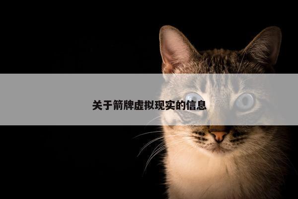 关于箭牌虚拟现实的信息