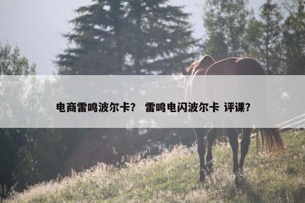 电商雷鸣波尔卡？ 雷鸣电闪波尔卡 评课？