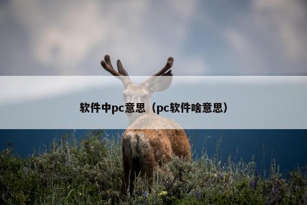软件中pc意思（pc软件啥意思）