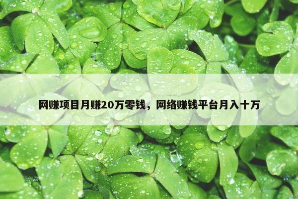 网赚项目月赚20万零钱，网络赚钱平台月入十万