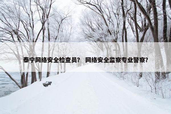 泰宁网络安全检查员？ 网络安全监察专业警察？