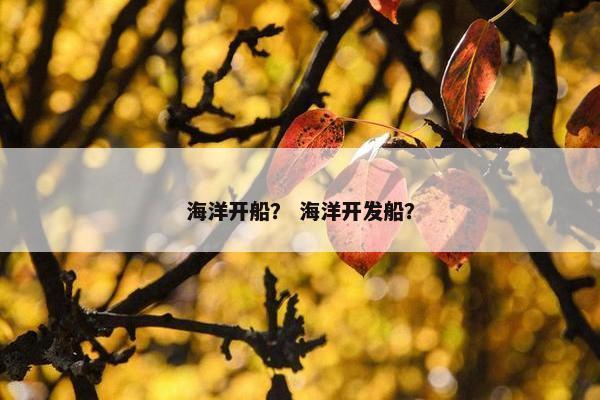 海洋开船？ 海洋开发船？