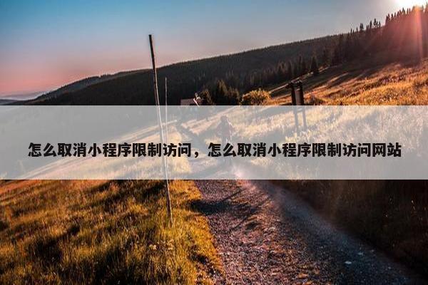 怎么取消小程序限制访问，怎么取消小程序限制访问网站