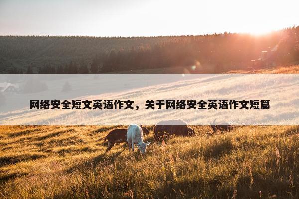 网络安全短文英语作文，关于网络安全英语作文短篇
