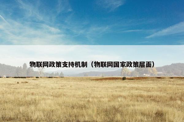 物联网政策支持机制(物联网国家政策层面) 物联网政策支持机制(物联网国家政策层面)