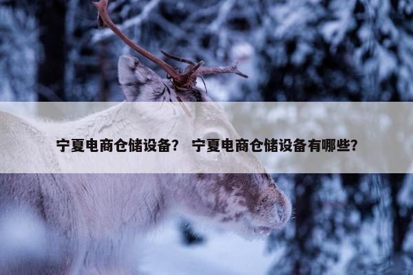 宁夏电商仓储设备? 宁夏电商仓储设备有哪些? 宁夏电商仓储设备? 宁夏电商仓储设备有哪些?