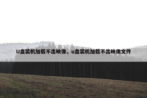 U盘装机加载不出映像，u盘装机加载不出映像文件