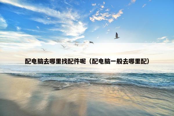 配电脑去哪里找配件呢（配电脑一般去哪里配）