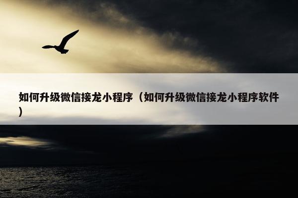 如何升级微信接龙小程序（如何升级微信接龙小程序软件）