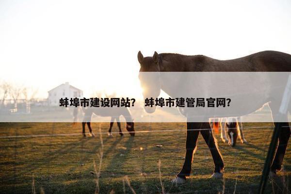 蚌埠市建设网站？ 蚌埠市建管局官网？