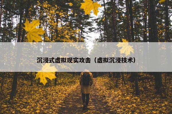 沉浸式虚拟现实攻击（虚拟沉浸技术）