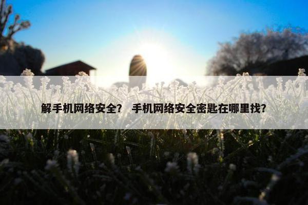 解手机网络安全？ 手机网络安全密匙在哪里找？