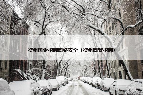 德州国企招聘网络安全（德州网管招聘）