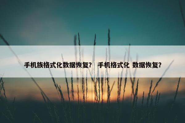 手机族格式化数据恢复？ 手机格式化 数据恢复？