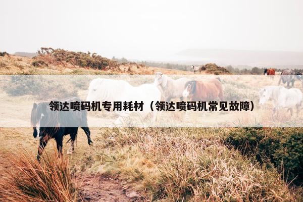 领达喷码机专用耗材（领达喷码机常见故障）