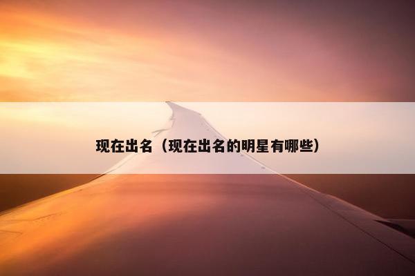 现在出名（现在出名的明星有哪些）