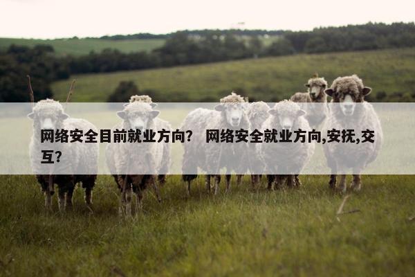 网络安全目前就业方向？ 网络安全就业方向,安抚,交互？