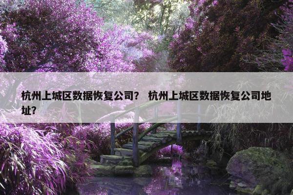 杭州上城区数据恢复公司？ 杭州上城区数据恢复公司地址？