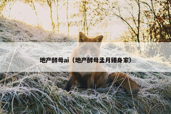 地产酵母ai（地产酵母孟月臻身家）