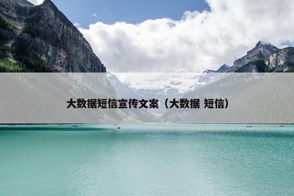 大数据短信宣传文案（大数据 短信）
