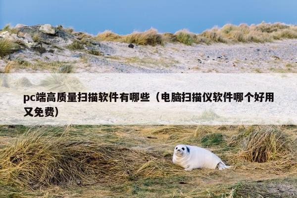 pc端高质量扫描软件有哪些（电脑扫描仪软件哪个好用又免费）