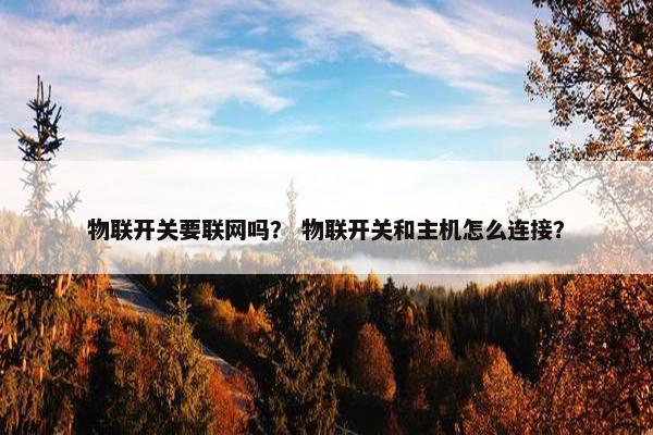 物联开关要联网吗？ 物联开关和主机怎么连接？