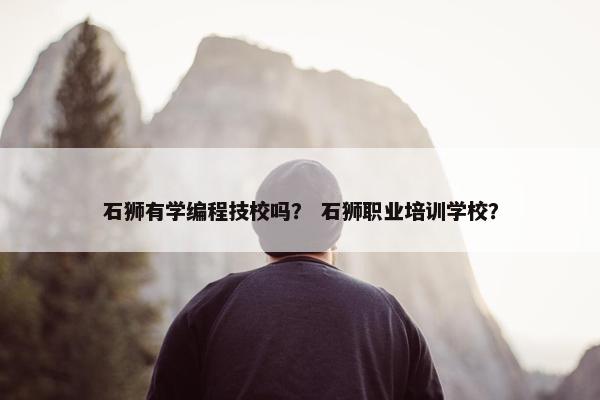 石狮有学编程技校吗？ 石狮职业培训学校？