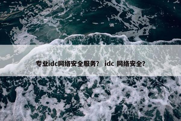 专业idc网络安全服务？ idc 网络安全？