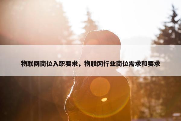 物联网岗位入职要求，物联网行业岗位需求和要求