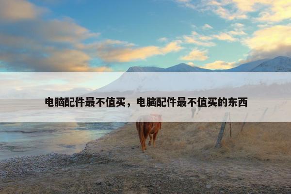 电脑配件最不值买，电脑配件最不值买的东西