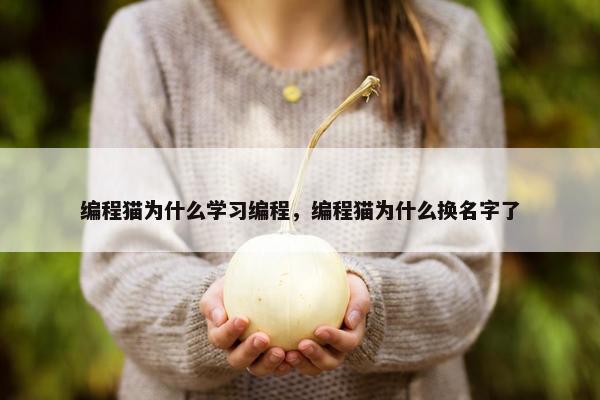 编程猫为什么学习编程,编程猫为什么换名字了 编程猫为什么学习编程,编程猫为什么换名字了