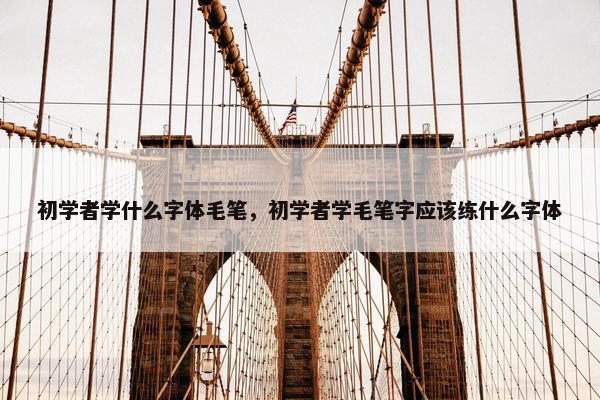 初学者学什么字体毛笔，初学者学毛笔字应该练什么字体
