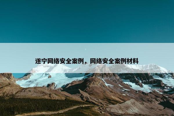 遂宁网络安全案例，网络安全案例材料