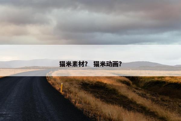 猫米素材？ 猫米动画？