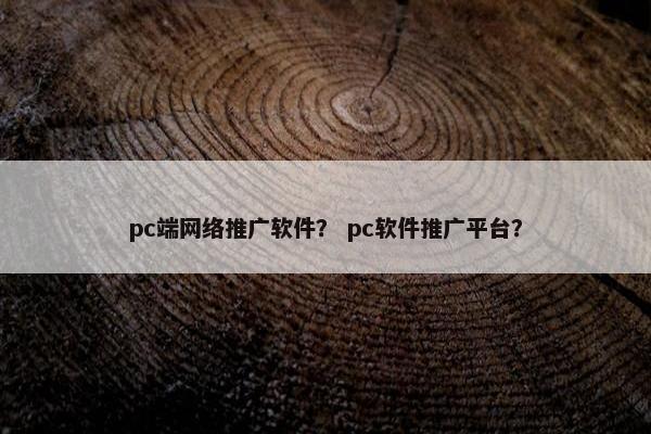 pc端网络推广软件？ pc软件推广平台？