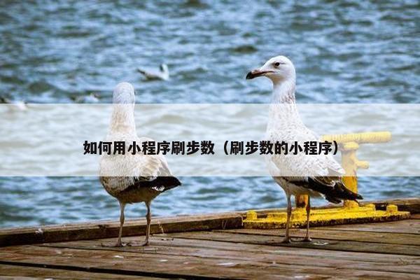 如何用小程序刷步数（刷步数的小程序）