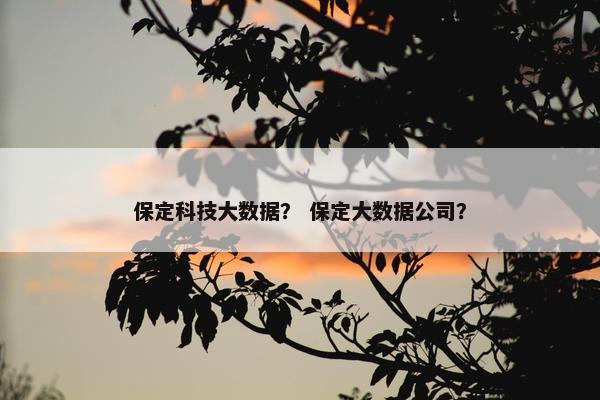 保定科技大数据？ 保定大数据公司？