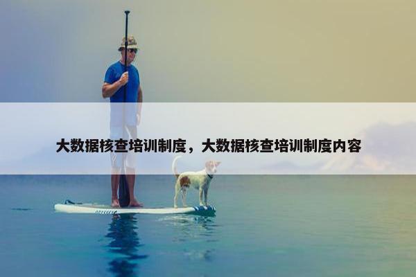大数据核查培训制度，大数据核查培训制度内容