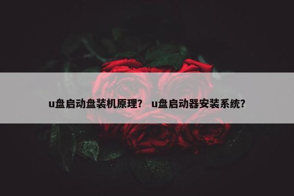 u盘启动盘装机原理？ u盘启动器安装系统？