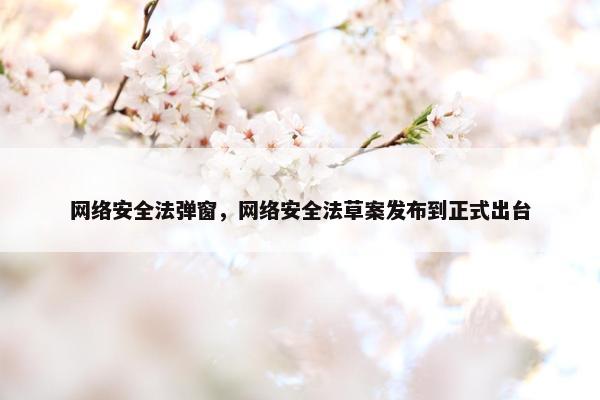 网络安全法弹窗，网络安全法草案发布到正式出台