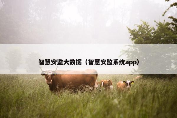 智慧安监大数据（智慧安监系统app）