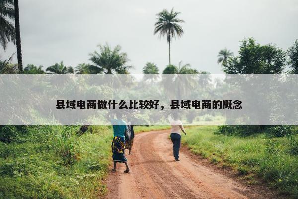 县域电商做什么比较好，县域电商的概念