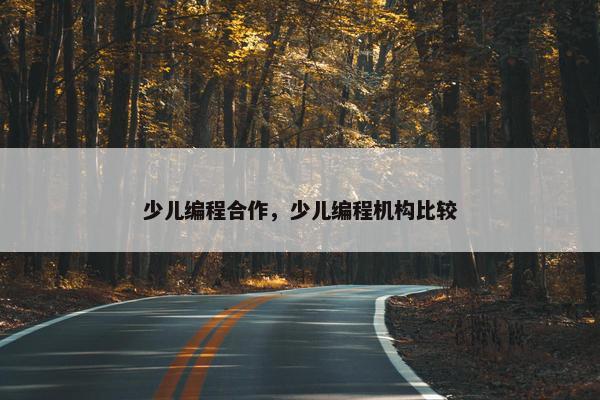 少儿编程合作，少儿编程机构比较