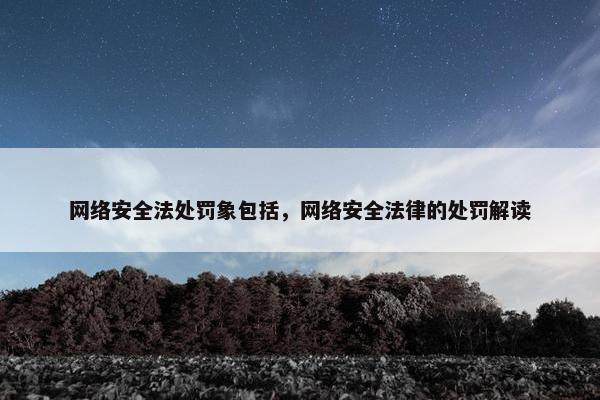 网络安全法处罚象包括，网络安全法律的处罚解读