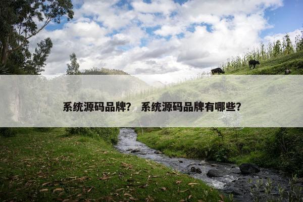 系统源码品牌？ 系统源码品牌有哪些？