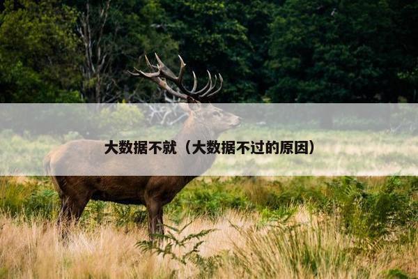 大数据不就（大数据不过的原因）
