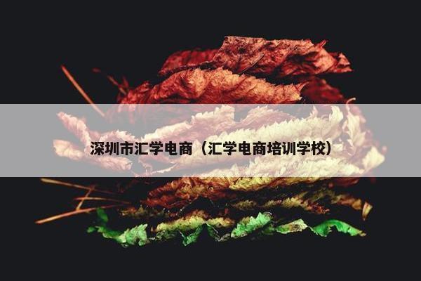 深圳市汇学电商（汇学电商培训学校）